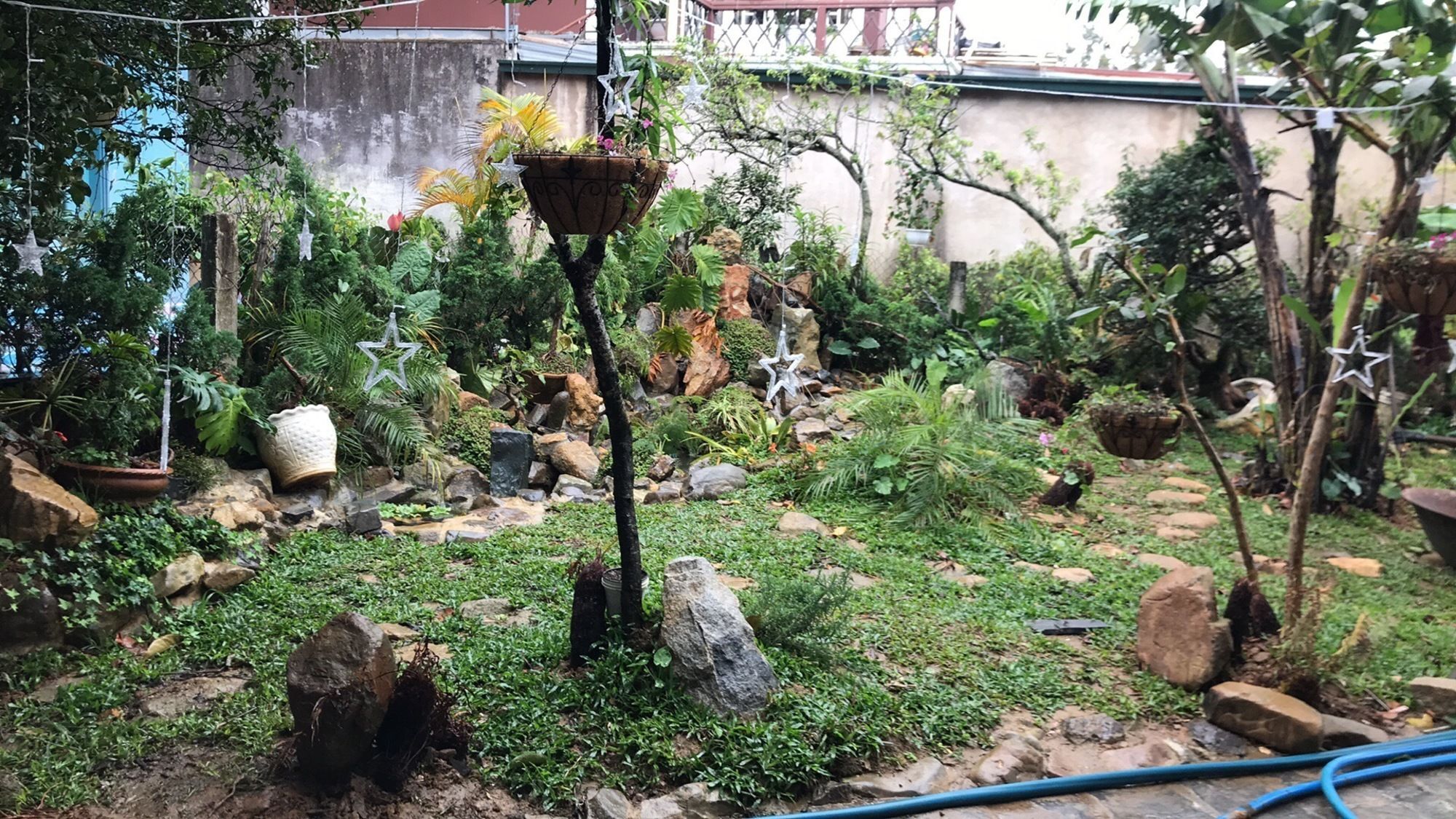 De Daisy Villa Homestay Da Lat Exterior photo